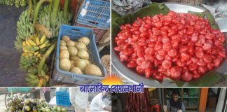 বোয়ালখালীতে মুধমাসে মধুফলের সম্ভার
