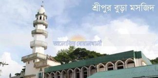 একনজরে শ্রীপুর বুড়া মসজিদ