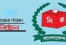 চলছে কর্মপরিকল্পনা : অপেক্ষা উপজেলা নির্বাচনের জন্য