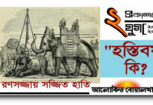 নবীজি মুহাম্মদ (দ.) (৫৭০ খ্রিস্টাব্দ) এর জন্ম সালকে প্রাক-ইসলামি মক্কায় বলা হত “হস্তিবর্ষ”