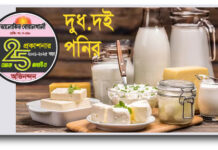 দুধ, দই নাকি পনির…? সবচেয়ে স্বাস্থ্যকর ‘মিল্ক প্রোডাক্ট’ কোনটি ?