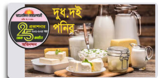 দুধ, দই নাকি পনির…? সবচেয়ে স্বাস্থ্যকর ‘মিল্ক প্রোডাক্ট’ কোনটি ?