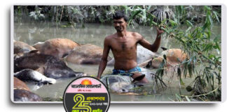 ভয়াল ২৯ এপ্রিল : ব্যাপক ধ্বংসযজ্ঞ আর প্রাণহানির দুঃসহ স্মৃতি নিয়ে আবারো দিনটি হাজির উপকূলবাসীর কাছে