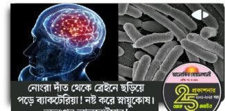 বাচ্চাদের দাঁতের যত্ন নিয়ে যারা অবহেলা করেন ?