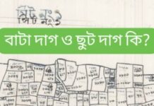 ভূমির খতিয়ান ও মৌজা নকশায় বাটা দাগ ও ছুট দাগ সম্পর্কে জানুন