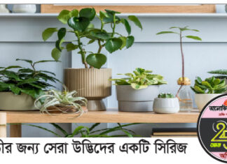 বাস্তু অনুসারে বাড়ির জন্য সেরা ২০টি গাছ