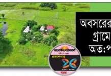 কিছু ভাইয়ের জীবন থেকে নেওয়া : অবসরের পর গ্রামে সেটেল হওয়া—ভুল!